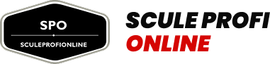 Blog SculeProfiOnline